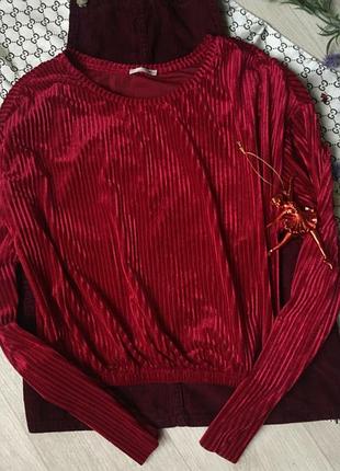 Велюрова оксамитова кофточка zara