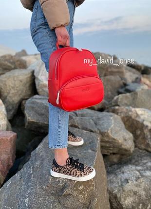 Классный рюкзак david jones