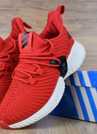 Жіночі кросівки adidas alphabounce instinct червоні знижка sale / smb