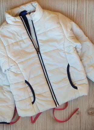 Легка курточка 5-6л(110) lupilu