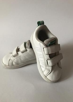 Кросівки adidas original