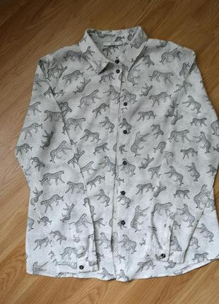 Блуза, блузка 6