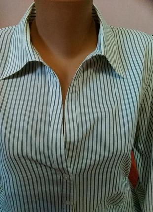 Классная рубашка 2