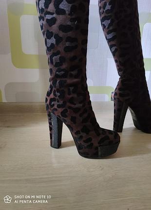 Сапоги италия loriblu