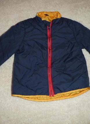 1,5-2 года куртка и ветровка 2 в 1 от ladybird4 фото