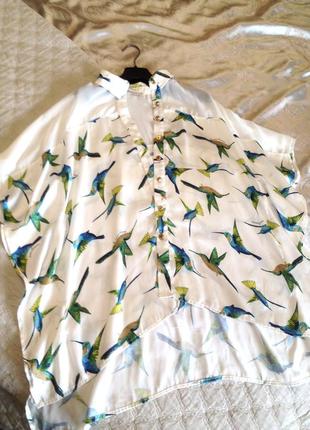 Туника-рубашка с принтом колибри rocco barroco2 фото