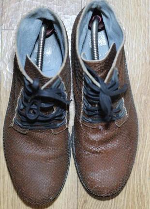 Стильні, вінтажні черевики зі шкіри рептилії nk 42 р-р5 фото