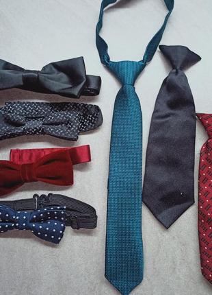 Метелик-краватка. краватка на резинці. краватка на прищіпці