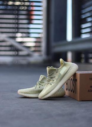 Жіночі кросівки yeezy boost 350 antlia / оплата при отриманні