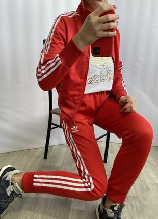 Спортивные штанишки/джогеры adidas1 фото