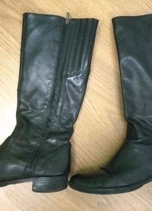 Кожаные демисезонные сапоги ботинки челси geox