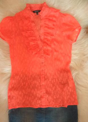 Блуза шифоновая оранжевая1 фото