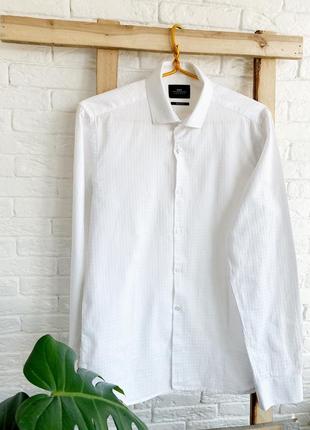 Рубашка pierre cardin 100% cotton белая