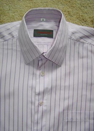 Тенниска фиолетовая сиреневая мужская framzoni польша , размер l5 фото