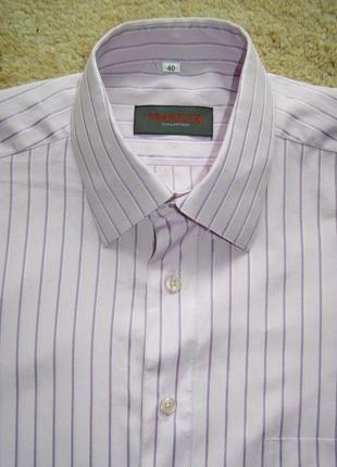 Тенниска фиолетовая сиреневая мужская framzoni польша , размер l3 фото