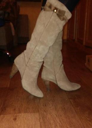 Сапоги замшевые