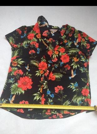 Шикарная летняя блуза футболка с коротким рукавом,с колибри и цветами,блузка8 фото