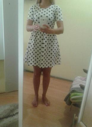 Супер платье в горошек papaya 3