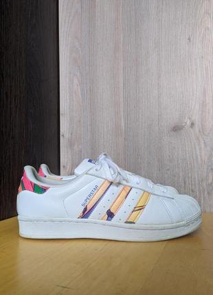 Кросівки шкіряні adidas superstar