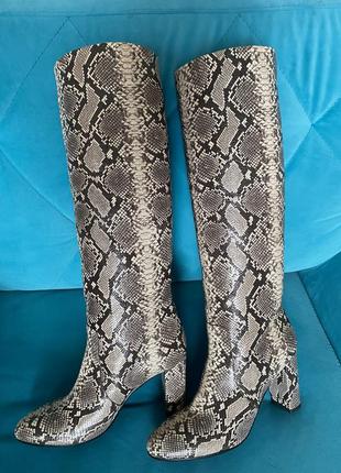 Сапоги балдинини, кожаные питон