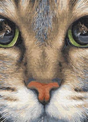 Картина за номерами зеленоокий котик