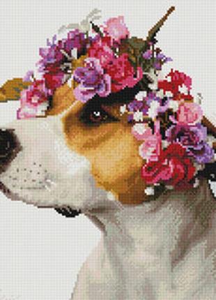 Алмазна мозаїка собачка у віночку1 фото