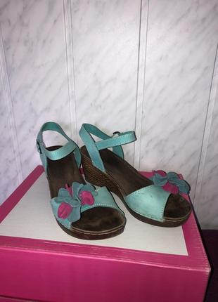 Літні боссаножки