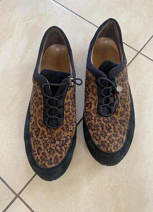 Гарні кросівки в леопардовий принт clarks