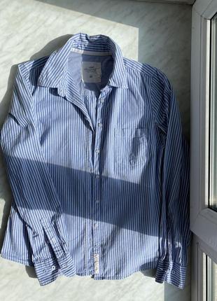 Біло-блакитна сорочка в смужку h&m розмір 10 с-м