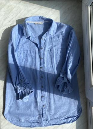 Голубая рубашка хлопок george размер 10 с-м
