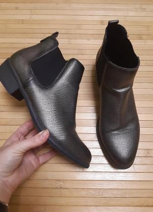 Чоботи челси graceland