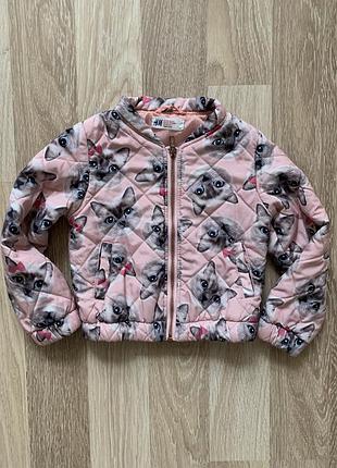Ветровка h&m
