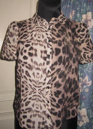 Блузка,разм 36