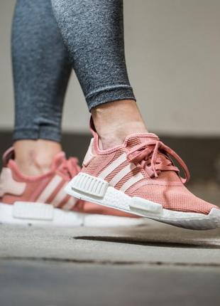 Кросівки adidas nmd runner "raw pink"