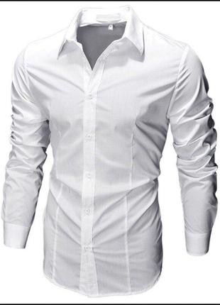 Рубашка приталенная белая/черная с длинными рукавами