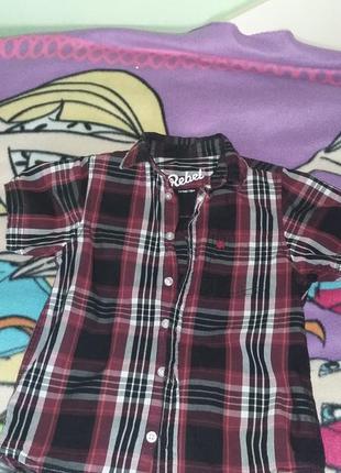 Модна сорочка