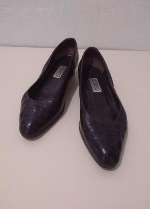 Фирменные женские туфли pedrino echtes leather