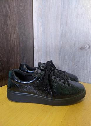 Кроссовки кожаные лаковые ecco