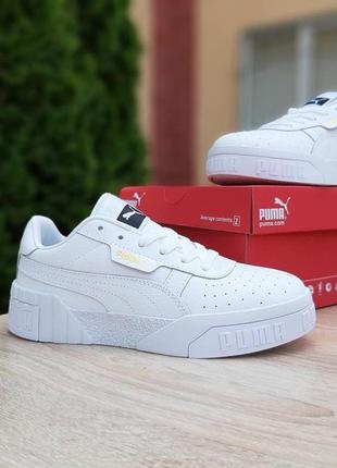 Кроссовки мужские puma cali (белые)