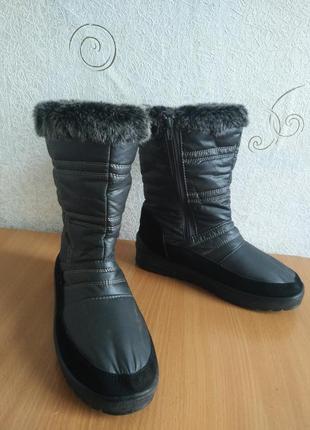 Чоботи жіночі cartina.