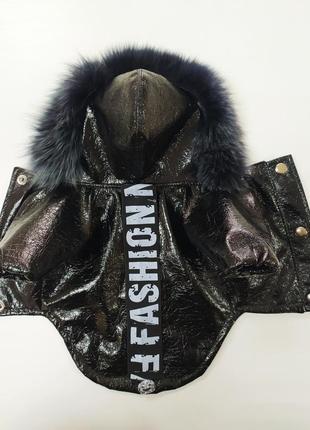 Одяг для тварин