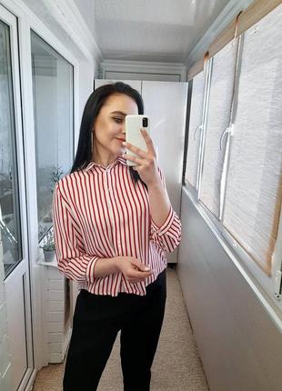 Блуза/блузка/рубашка/сорочка