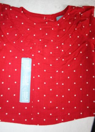 Стильна блузка gap на 6-12мес.2 фото