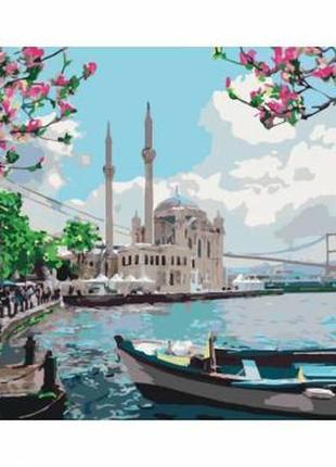 Картина за номерами турецьке узбережжя ід