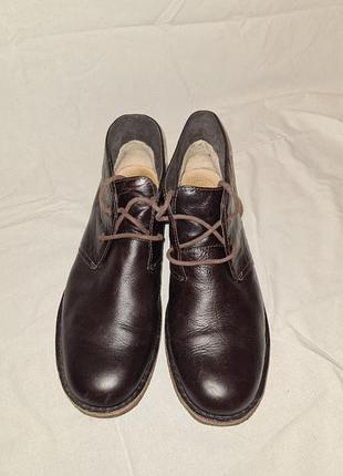 Чоботи ugg