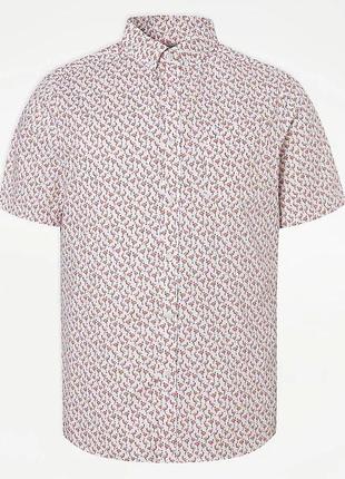 Сорочка 54-56 бавовна англич