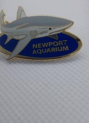 Брошь акула