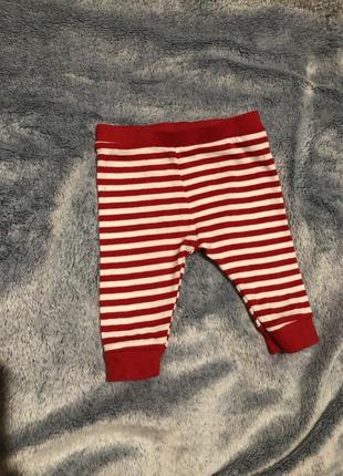 Штаны гамаши колготы лосины tu