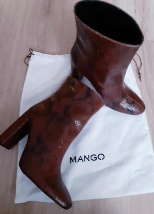 Ботильоны"mango"1 фото