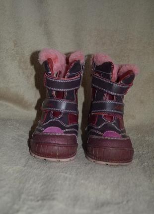 Зимние. сапоги, ботинки шалунишка р.241 фото